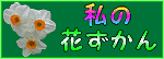 私の花図鑑