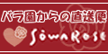 バラ園からの直送便!朝摘みたてのバラを全国に!ソーワローズ